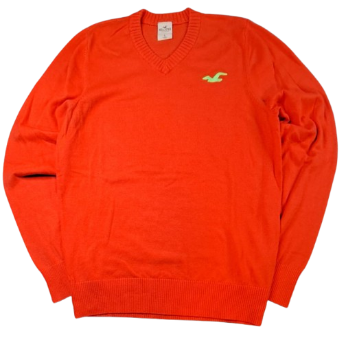 Hollister Sweater (L)